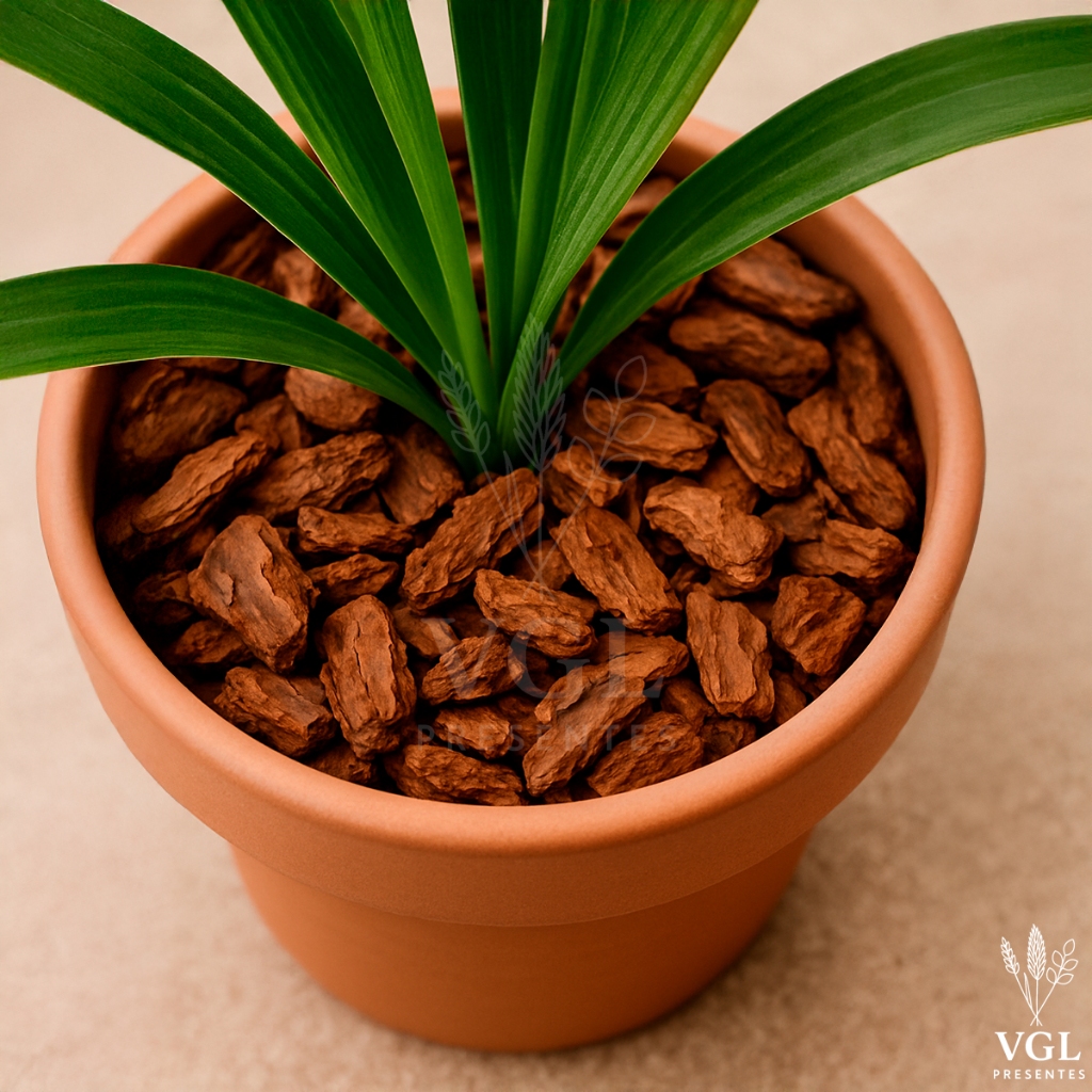 Casca De Pinus Natural Cascalho Para Plantas Decoração Elegante de Vasos e Caminho de Jardim