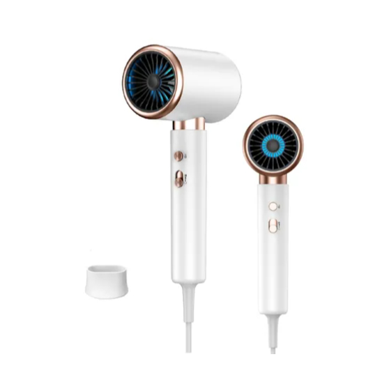 Secador de Cabelo Profissional Íons Negativo Supersônico Secagem Rápida 110V
