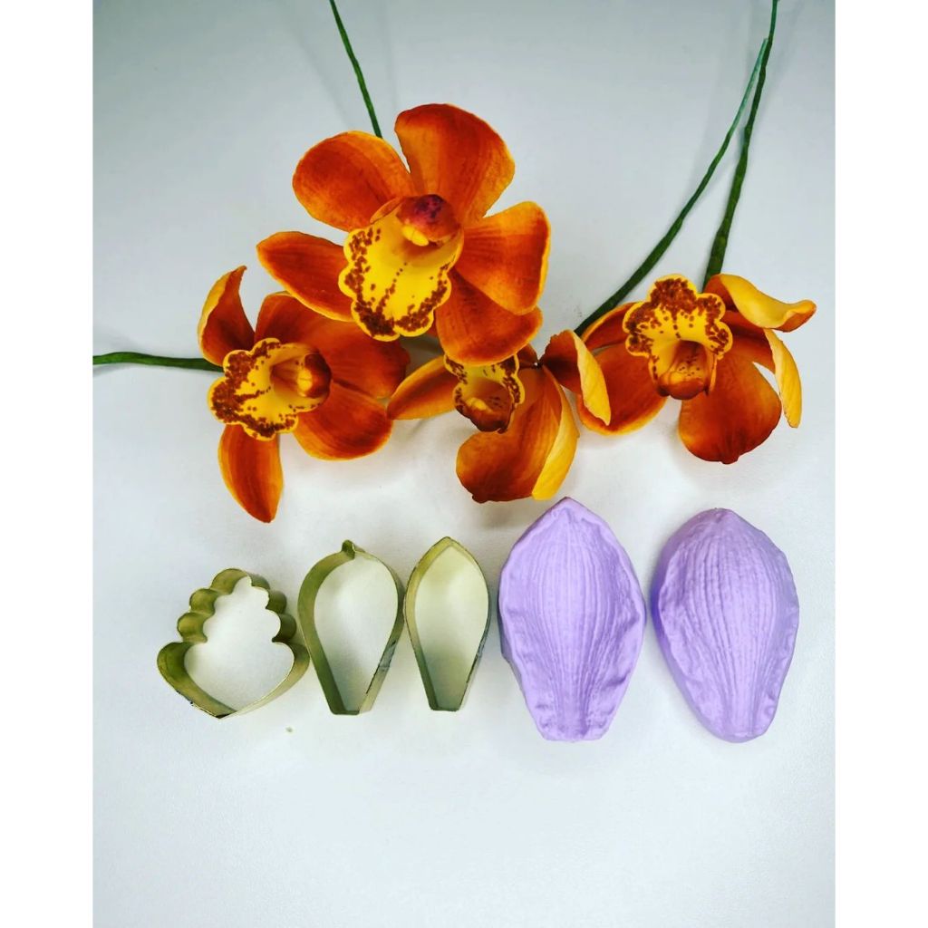 KIT CORTADOR E FRISADOR ORQUIDEA CYMBIDIUM PP
