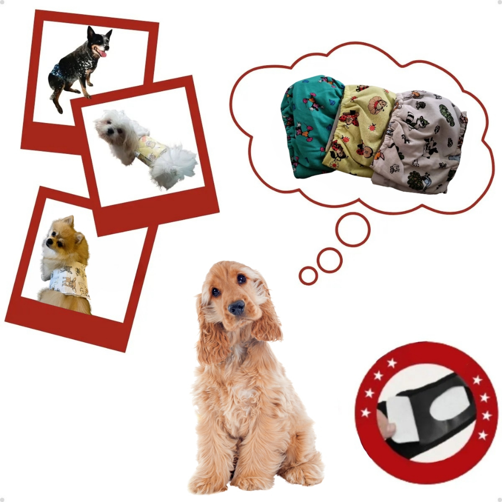 Kit 3 Fraldas Laváveis Para Cachorro Macho Cão Reutilizável Anti Xixi Pet Top