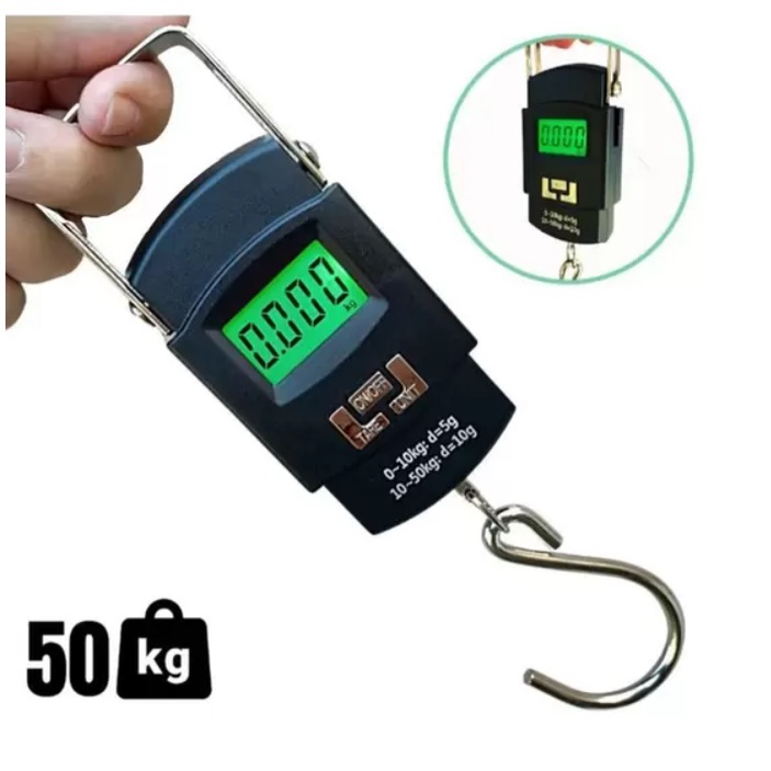 Peixes: Guia Completo e Onde Comprar | BuscaProdutos