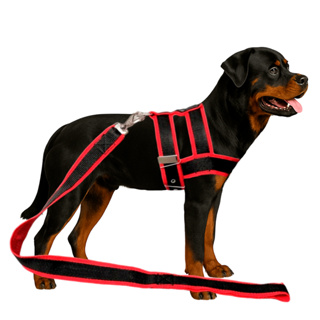 Conjunto Peitoral Com Guia De Nylon Duplo Especial Super Resistente Para Cachorro Cão Grande Porte em Oferta na Shopee