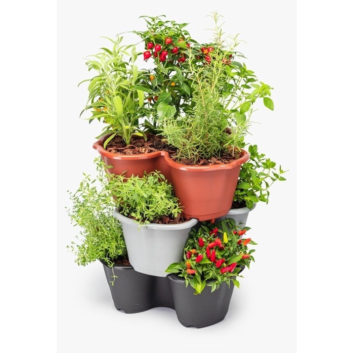 Kit 10 Vasos Decorativos 4L Jardim Vertical  Mini Horta Plástico Horta Flores Plantas Varanda em Oferta na Shopee