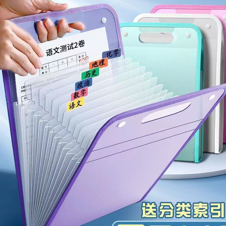 Pasta Sanfonada Organizadora Vertical Para Documentos A4 12 Divisões