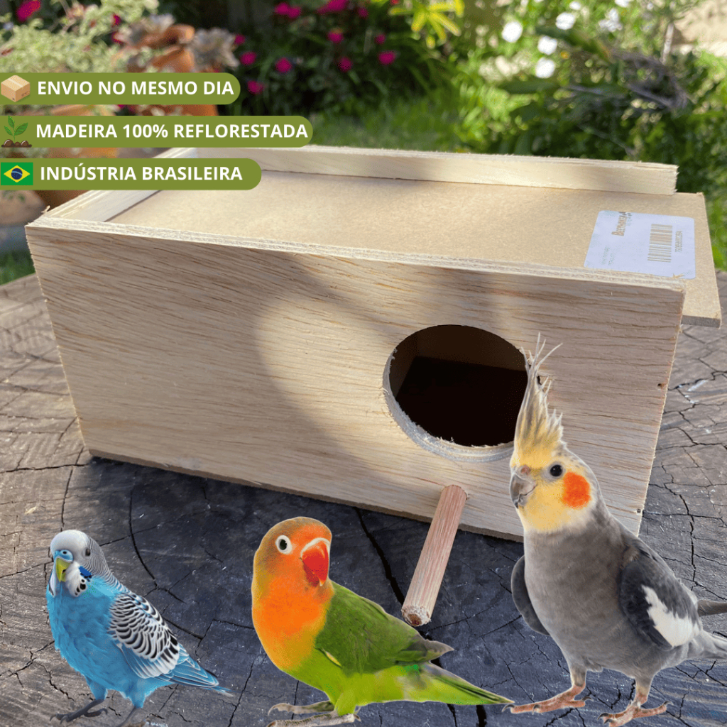 O que é Ninho Calopsita Grande? Guia e Onde Comprar | BuscaProdutos