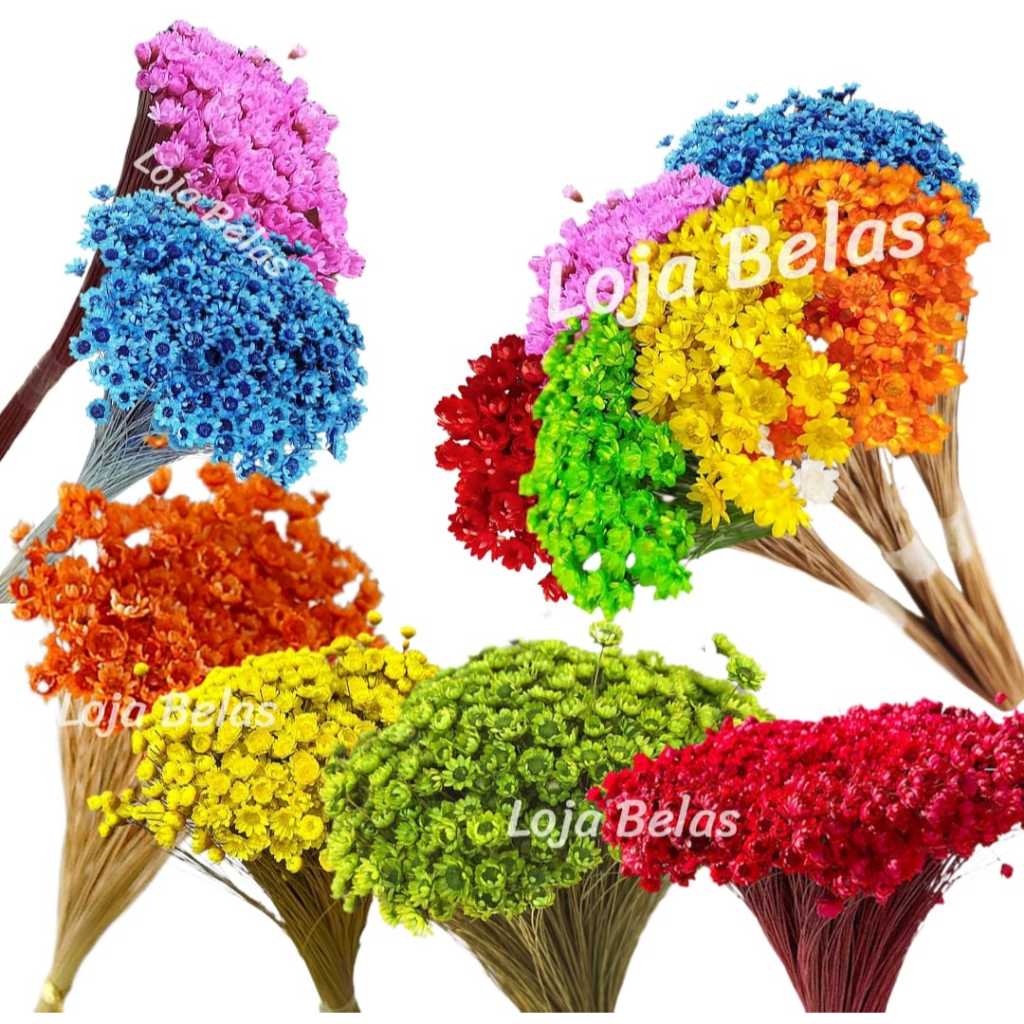 300 Flor Sempre Viva Mosquitinho Florzinha Buquê em Oferta na Shopee