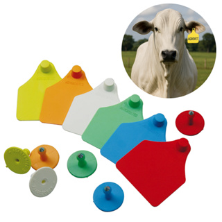 Zooflex 25 Brincos Lisos P/ Identificação Marcação Caneta P/ Gado Cabras Ovelhas Suínos Animal em Oferta na Shopee