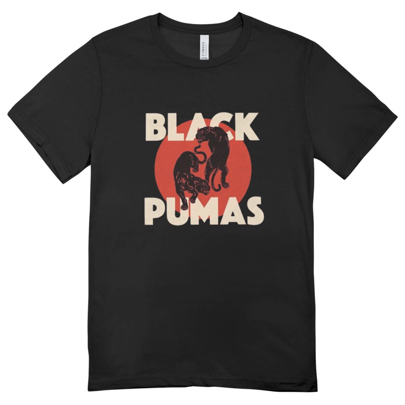 Puma Camiseta Feminina: Onde Comprar | BuscaProdutos