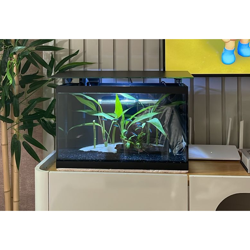 Aquário para Peixes Completo Com Luminaria Led 25 Litros
