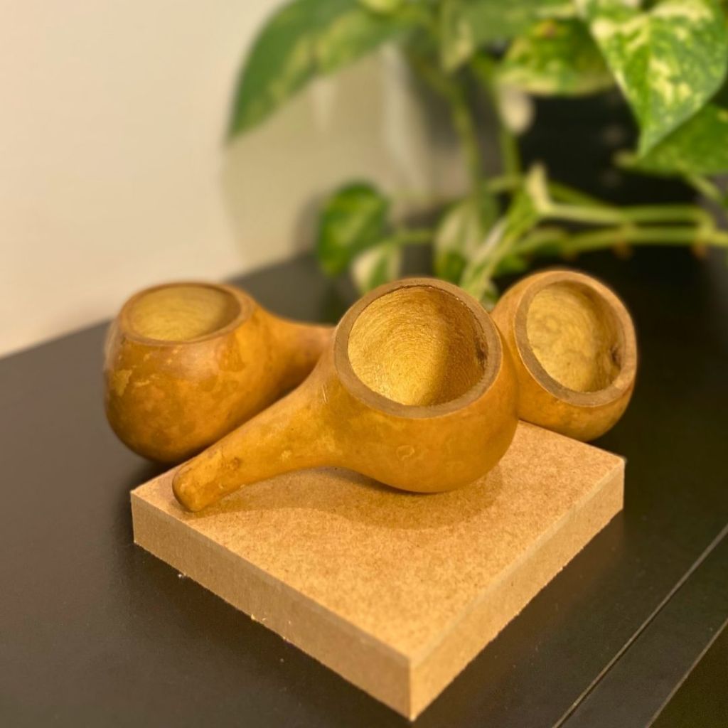 Pegador de Erva Mate Colher Conchinha de Porongo Chimarrão