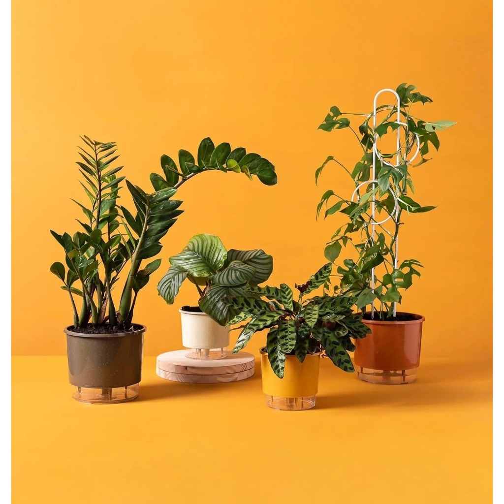 Vaso Raiz Autoirrigável 12cm x 10cm Temperos Jardinagem Flores Hortaliças Cultivo Vasos - RAIZ P N02