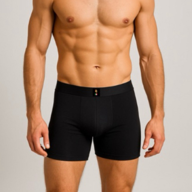 KIT 4 Cueca Box / Boxer Adulto Microfibra Premium com forro 100% Algodão