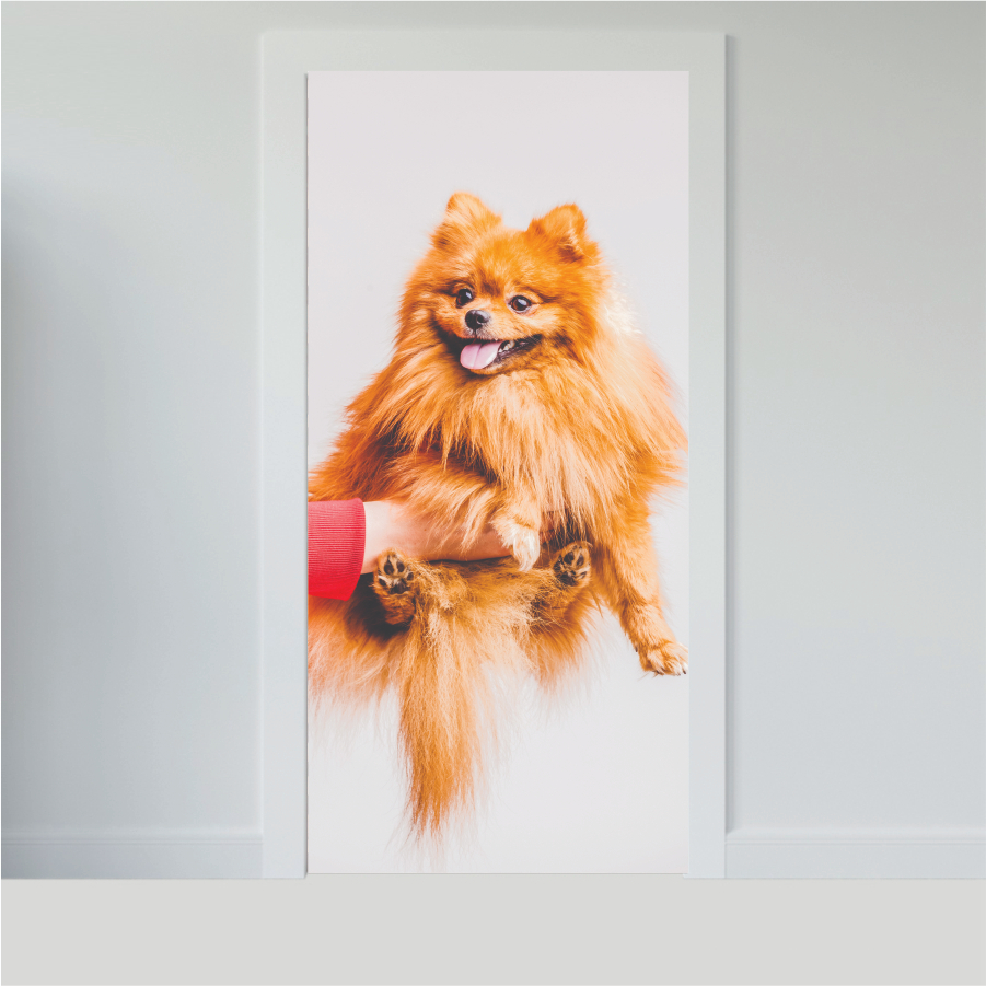 Adesivo para Portas de Madeira ou Vidro Papel de Parede Decoração Cachorro Pet Petshop Veterinario - CACHORRO 3