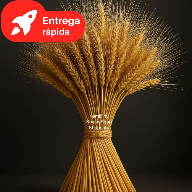 25 Hastes De Trigo Seco Natural Decorativo Casamentos Arranjos 40cm em Oferta na Shopee