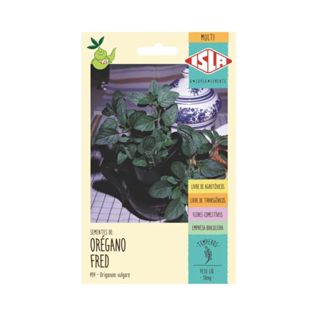 SEMENTE DE OREGANO VERDADEIRO FRED - OREGANO FRESCO PARA TEMPERO (11651) em Oferta na Shopee