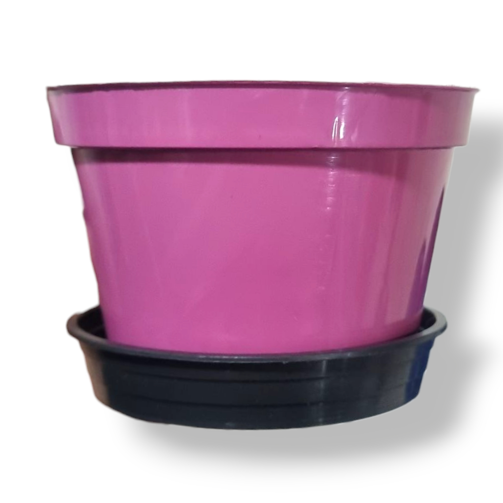 10 Vasos Com Pratos Pote 11 Coloridos 430 Ml Para Plantas Lembrancinhas