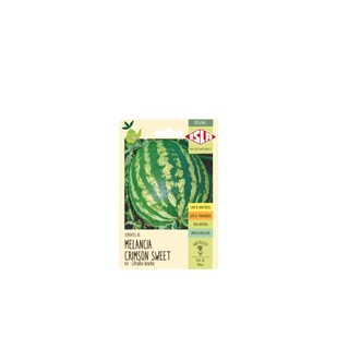 Semente Melancia Crimson Sweet  para plantar em jardim quintal horta