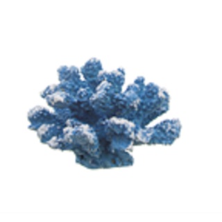 Coral De Resina Sereia Fundo Do Mar Ariel Decoração de Mesa em Oferta na Shopee