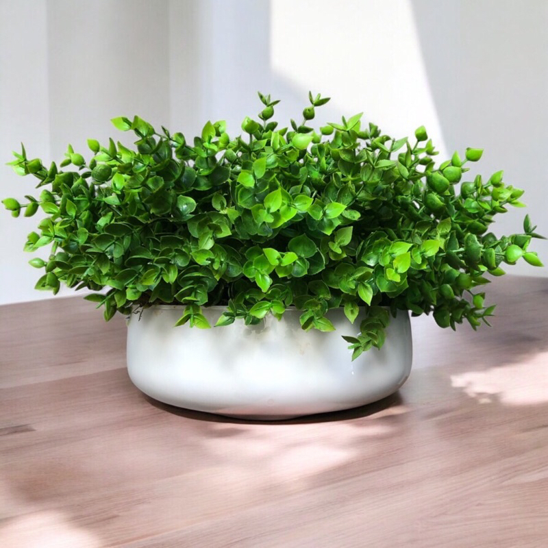 Arranjo de Eucaliptos Artificiais em Vaso Branco Noah em Oferta na Shopee