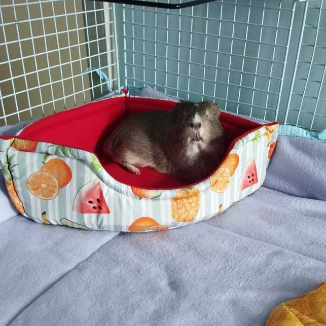 Cama (SOFÁ CANTO ou CAMA 3 em 1) para porquinho da índia