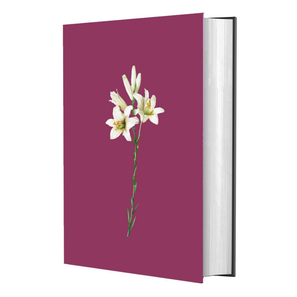 Bíblia Sagrada NVI | Letra Grande | Lírio | Capa Dura - Books & Magazines
