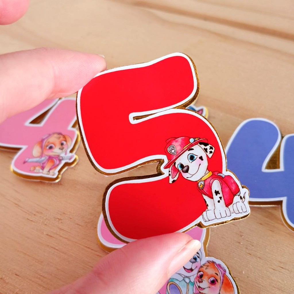 Apliques de Número Temático 5CM 3D Patrulha Canina Personalizado/Festa/ Aniversário/ Lembrancinha