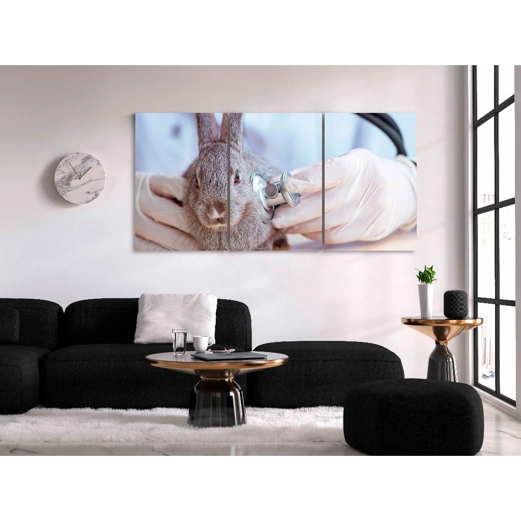 Quadro Decorativo Veterinário Animais Cuidado Saúde Pet Clínica Estetoscópio Cão Gato