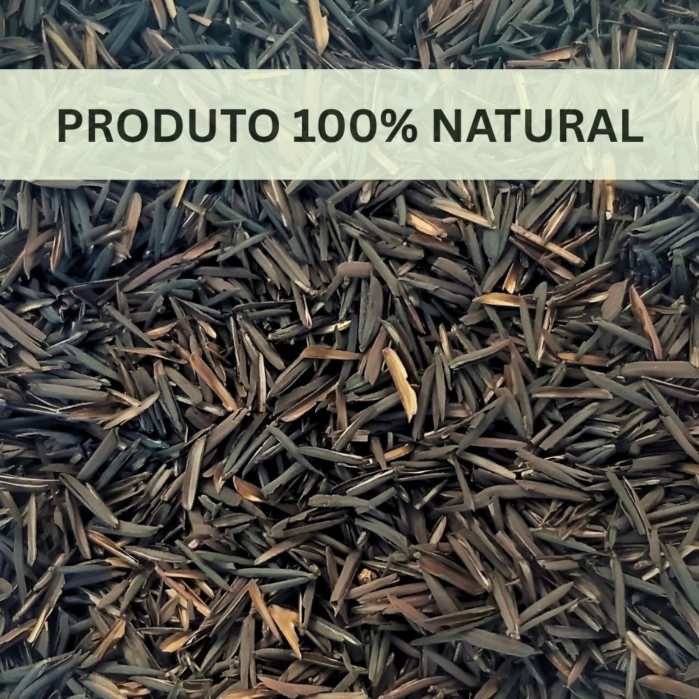 Casca de Arroz Carbonizada Terral: Onde Comprar | BuscaProdutos