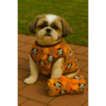 Kit Mantinha Roupinha Camisa Frio Sueter Cão Cachorro Inverno Malha Lanzinha