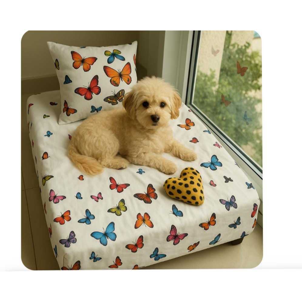 Lençol Pet Algodão com Elástico 80x60x12+ Almofadinha Decorativa Cama Cachorro Gato Maria Flor