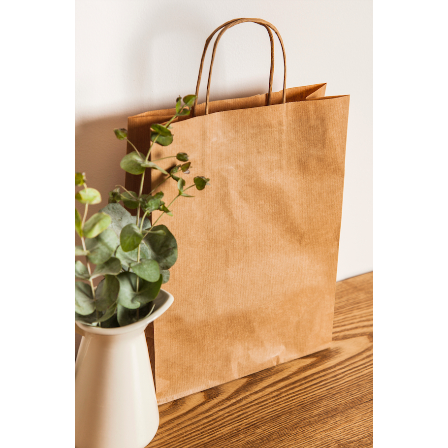 Sacola Lisa com alça Papel Kraft  - P, M, G ou GG C/ 100 Unidades em Oferta na Shopee