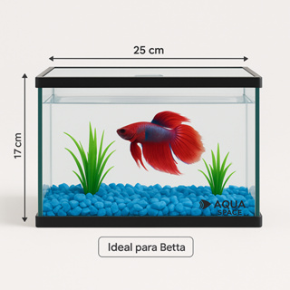 Aquário 4 Litros para Peixe Betta com Decoração | Pronto para Usar em Oferta na Shopee