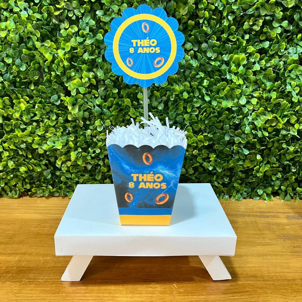 CENTRO DE MESA CACHEPOT PERSONALIZADO SONIC - PEGUE E MONTE - Cachepo - Lembrancinha - Festa