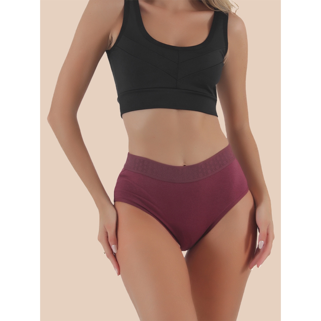 Calcinha Cintura Alta de Algodão Lingerie Kit 5