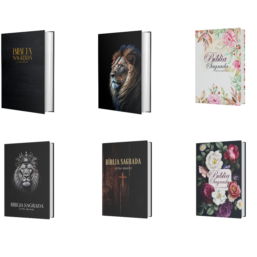 Bíblia ACF Letra Grande - Texto Claro e Fácil de Ler em Oferta na Shopee