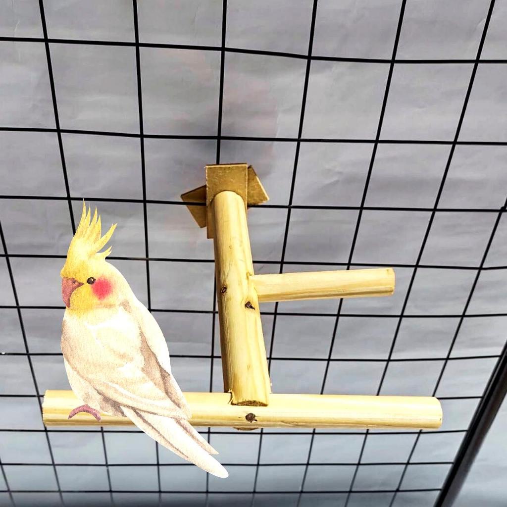 Poleiro Duplo De Gaiola Brinquedos Para CalopsitaAves Periquito Agapornis Rinck Neck Caturra Pets Pássaros.