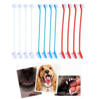 Kit Com 12 Escovas De Dente Dupla Cabo Longo Coloridas Cuidado Bucal Higiene Cachorro Gato Material Resistente LR-0148 em Oferta na Shopee