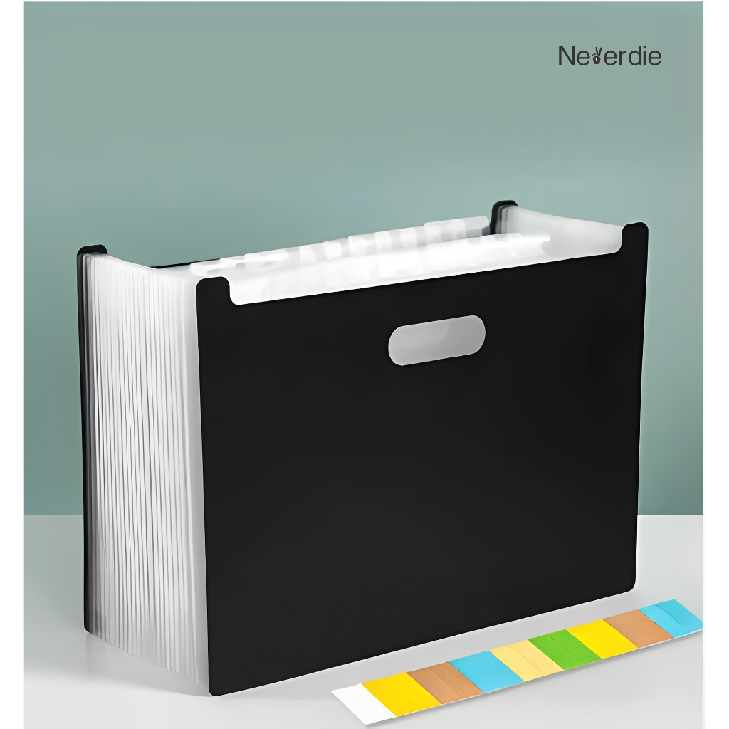 Pasta com 12 Divisórias Organizadora de Documentos Sanfonada Multiuso