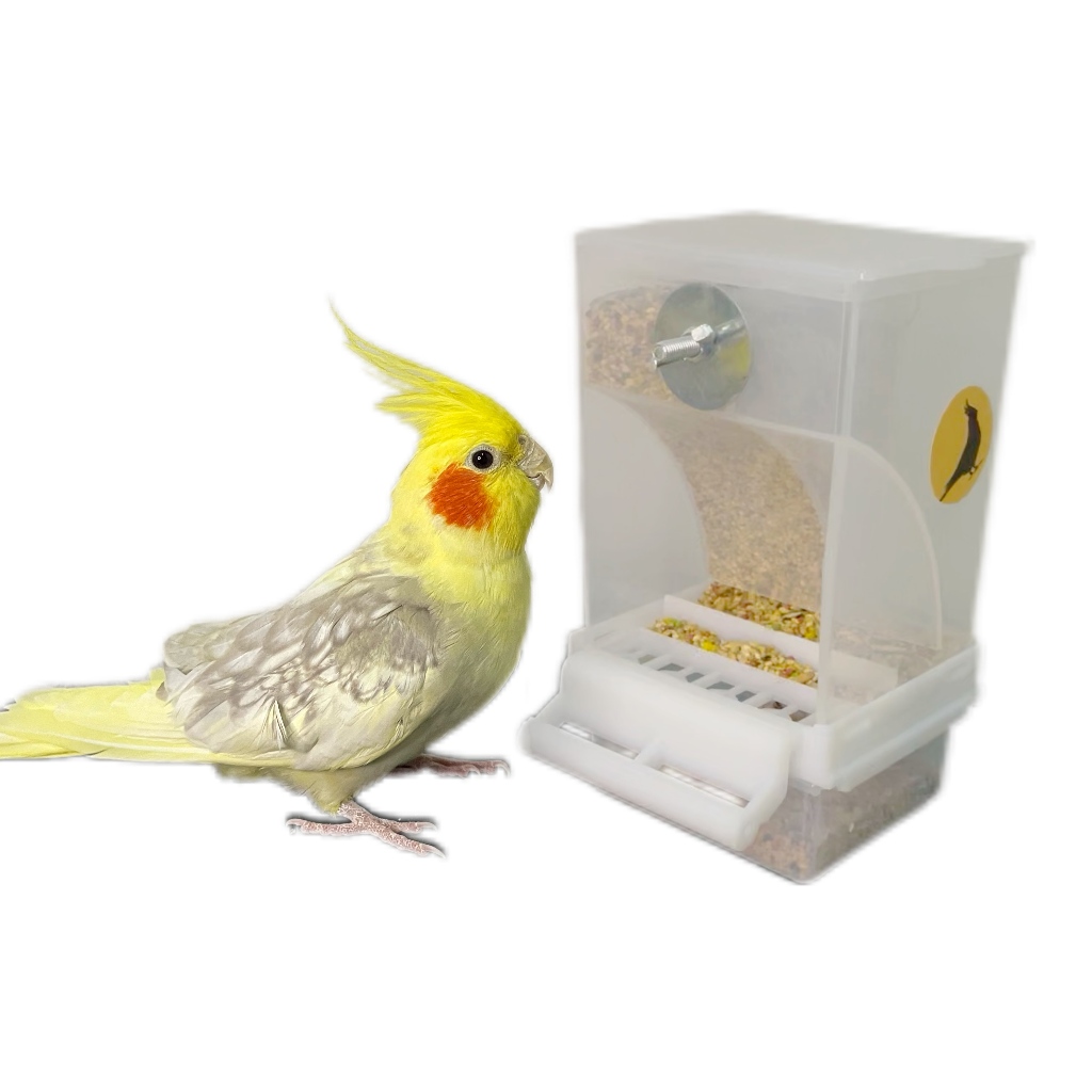 Comedouro autimatico para periquito com divisorias para 2 rações em Oferta na Shopee