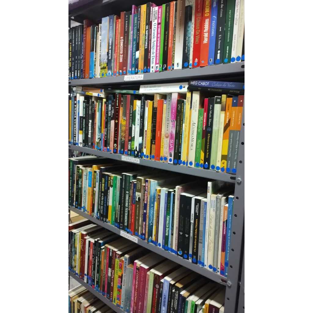 Livros Bom e Barato kit c/10 Envio Aleatório -usado- literatura, romance, Religião, Auto Ajuda, Infanto Juvenil