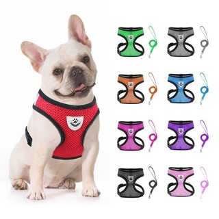 Coleira Peitoral Cachorro E Gato, Conjunto De Guia + Coleira Tipo Colete Para Pet Pequeno…