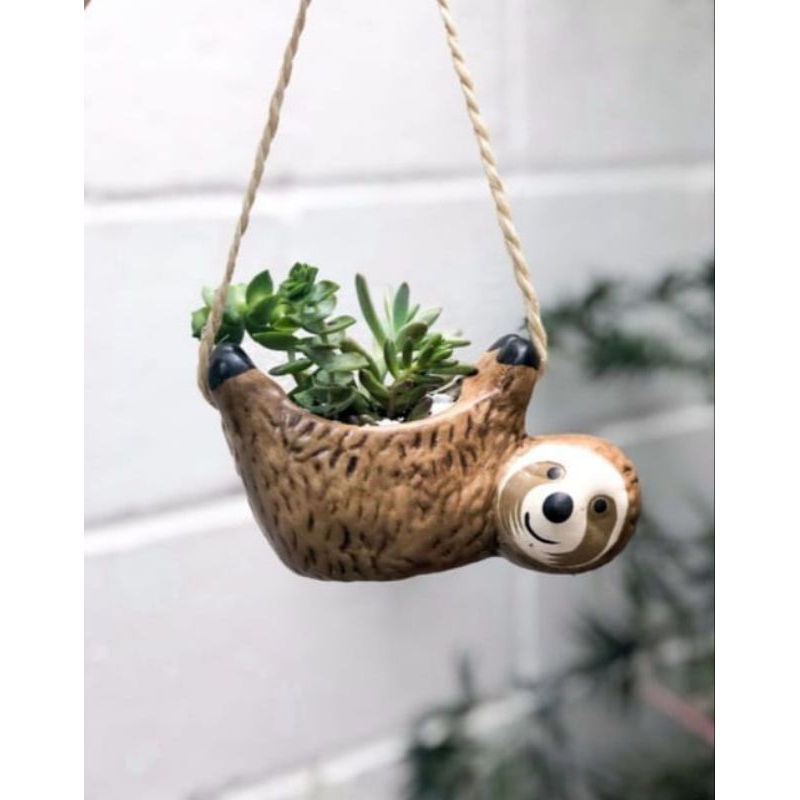 Vaso cachepot bicho preguiça para suculentas (cerâmica) não acompanha arranjos florais!