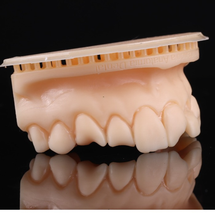 Modelo de treino - Restauração em resina - Todas classificações - Anatomia Oclusal- Restaurar- Preparar-
