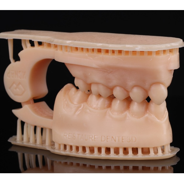 Modelo de treino anatomia dental- restauração posterior. Articulado- funcional.