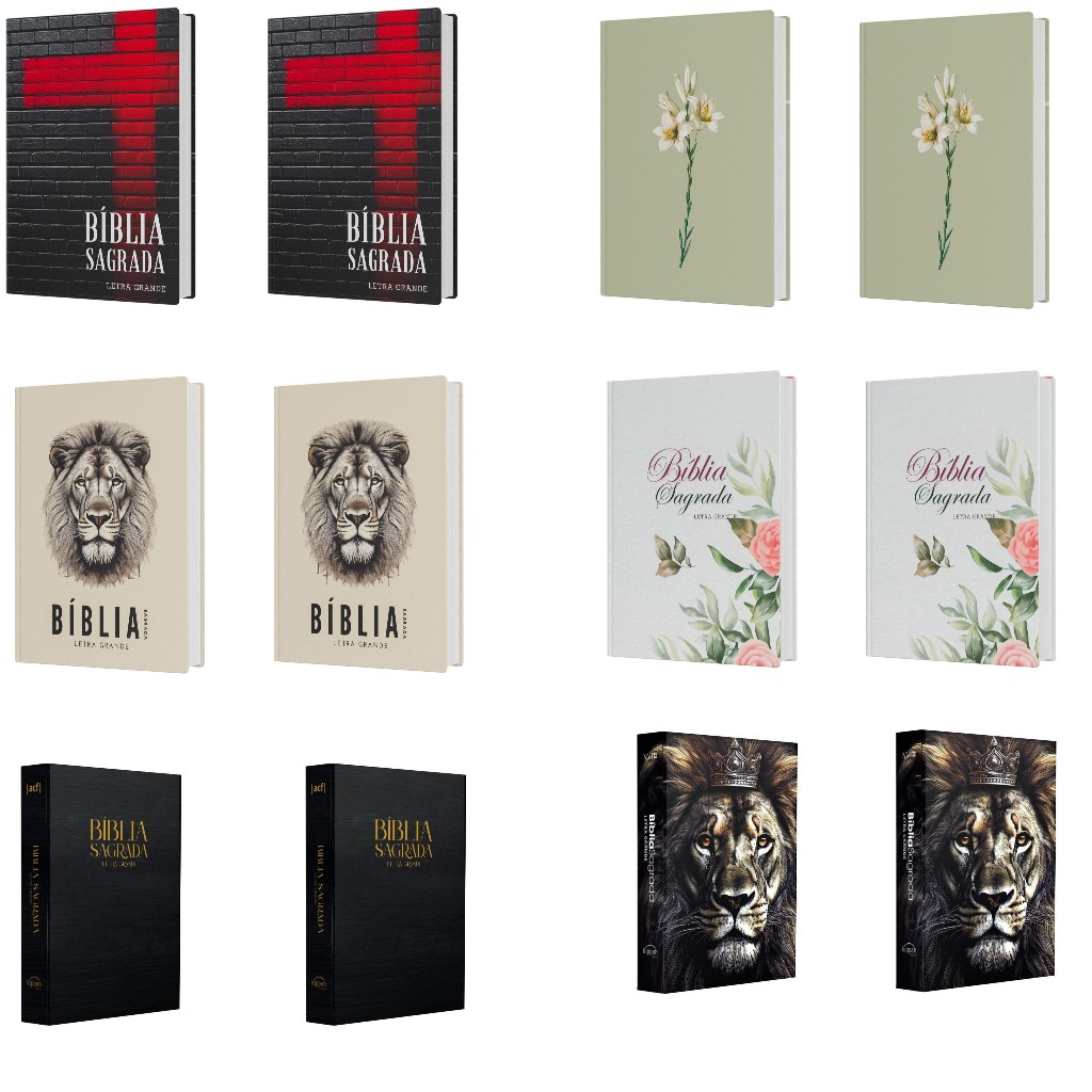 Kit 2 Bíblias Sagradas NVI/ACF - Letra Grande para Leitura Confortável em Oferta na Shopee