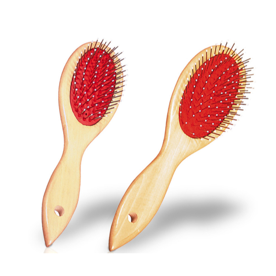 O que é Cuidados com Shitzu? Guia e Onde Comprar | BuscaProdutos