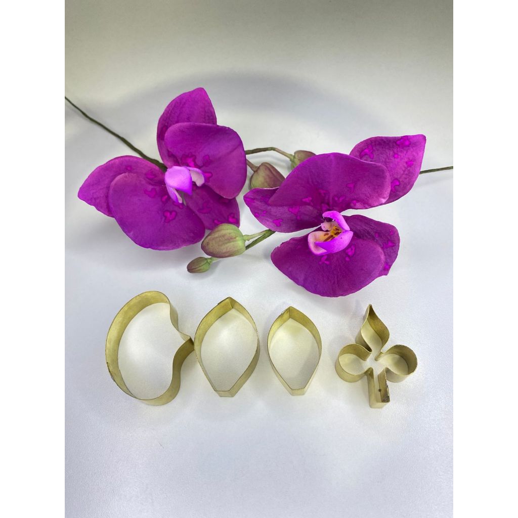 Kit cortador da orquídea phalaenopsis tamanho M em Oferta na Shopee