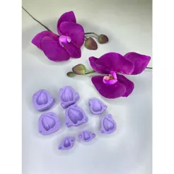 Kit molde silicone botões da orquídea phalaenopsis c/ 04 tamanhos diferentes