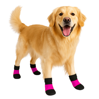 Botinha Pet Sapato para Cachorro e gato Sapatinho Pet - Vermelho em Oferta na Shopee