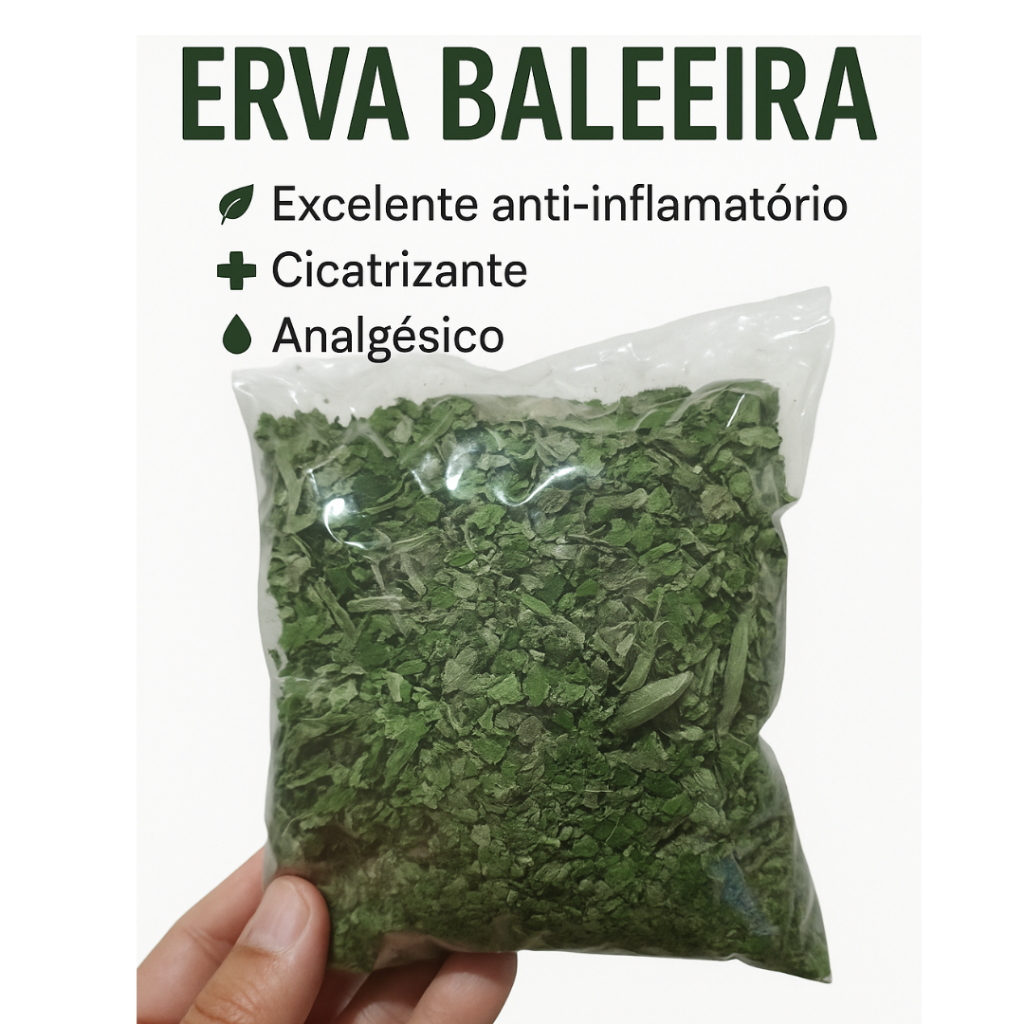 Chá de Erva Baleeira, Canela de Velho 50gr cada + Açafrão da Terra 100g (fresco) Gel massageador Sucupira 200gr